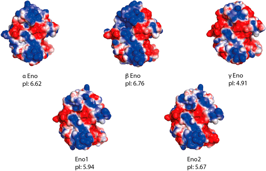 Ijms 16 09354 g006 1024