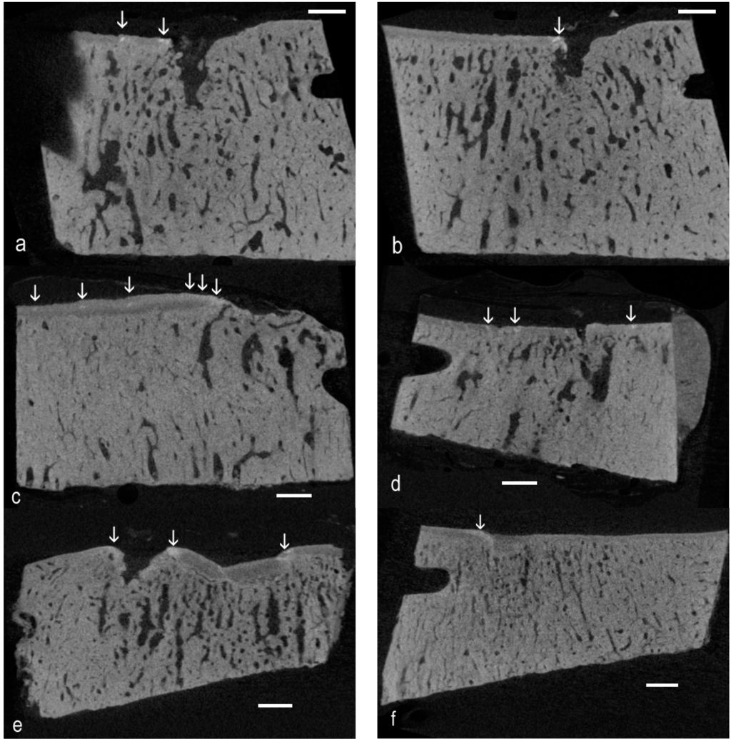 Ijms 16 09600 g001 1024