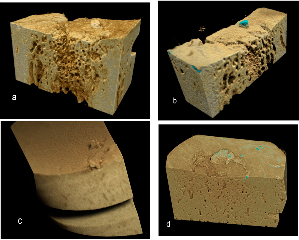 Ijms 16 09600 g005 1024