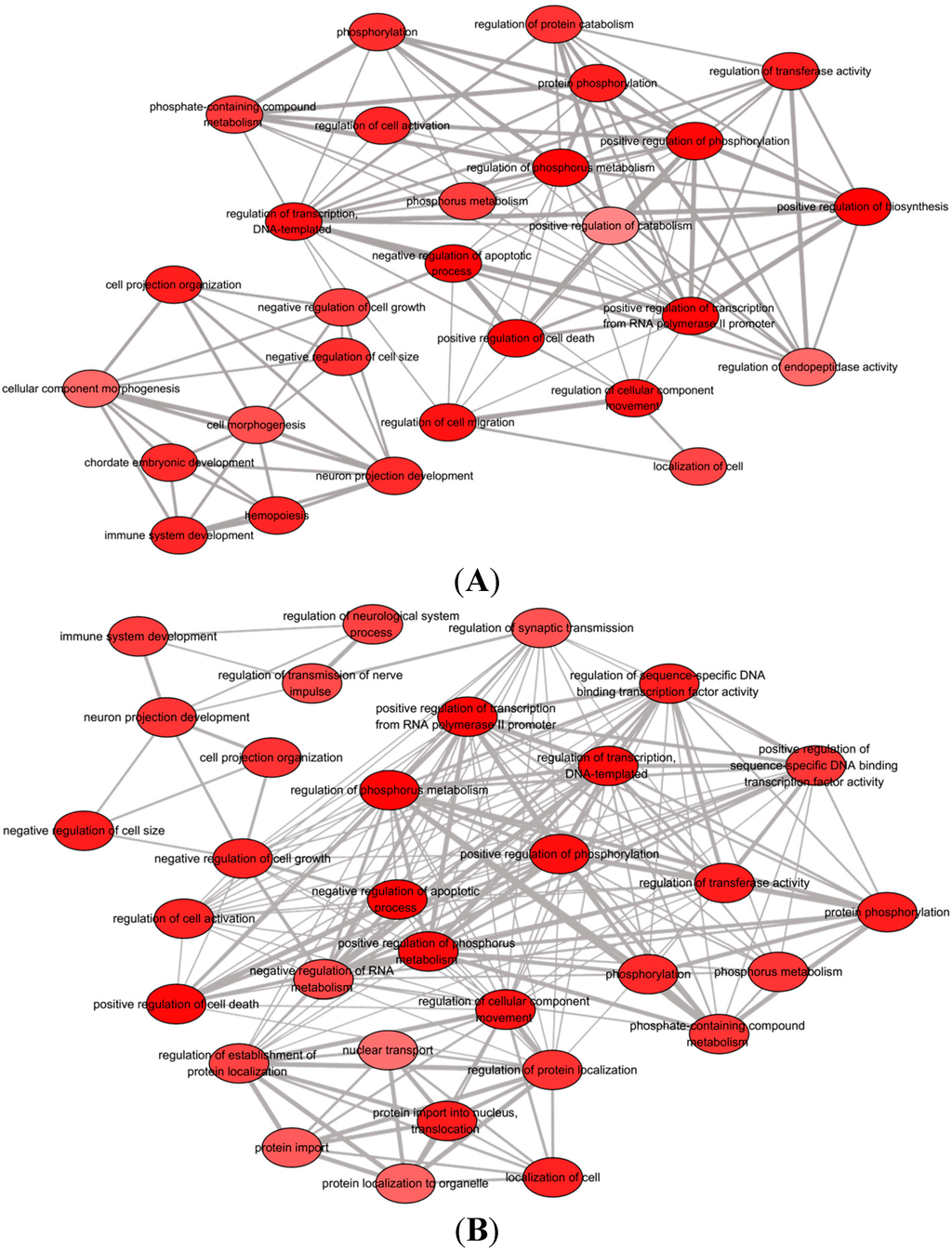 Ijms 16 09693 g004 1024