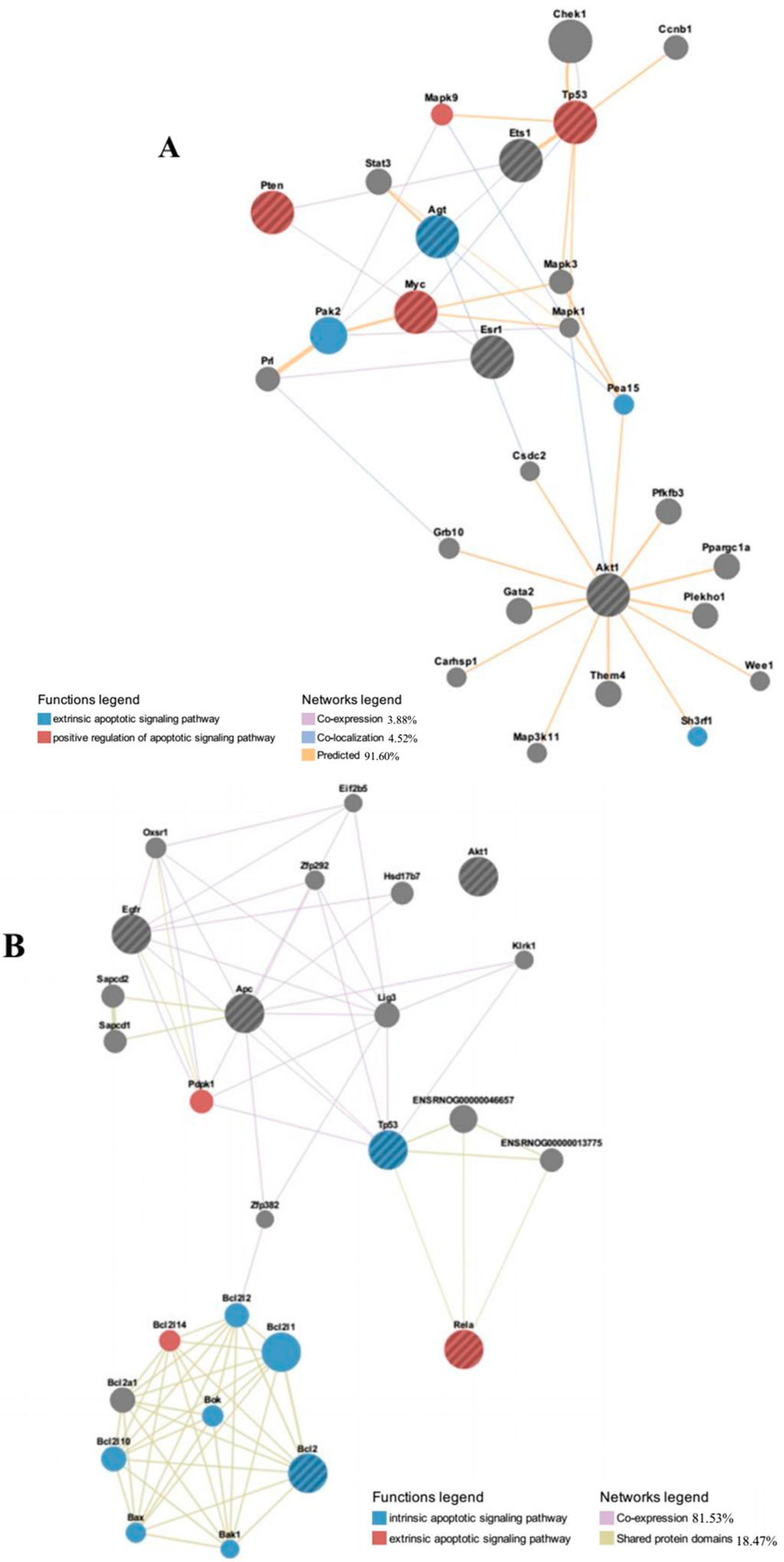 Ijms 16 09693 g005a 1024
