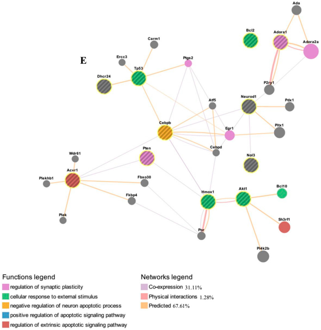 Ijms 16 09693 g005c 1024