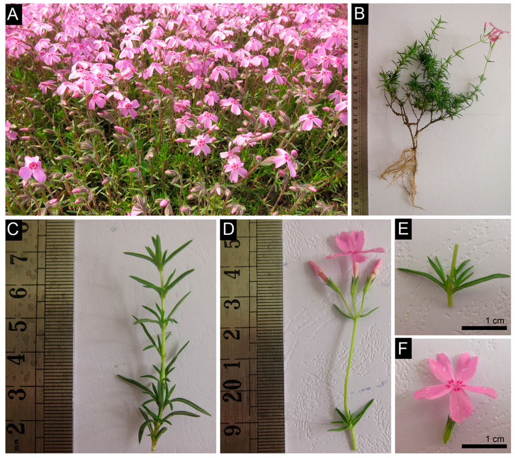 Ijms 16 09732 g001 1024