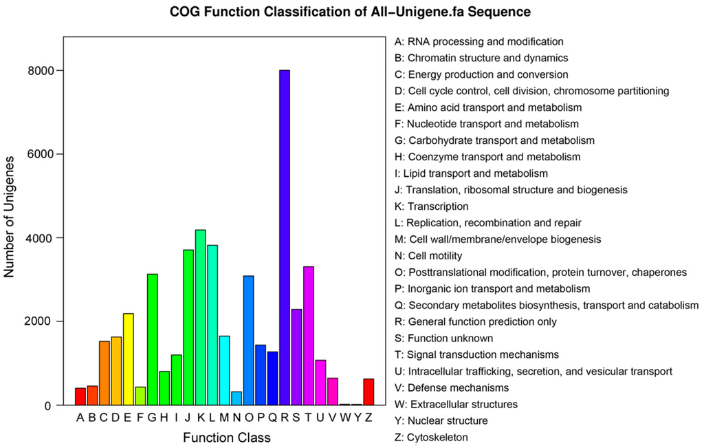 Ijms 16 09732 g006 1024