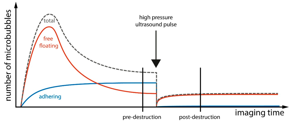 Ijms 16 09749 g004 1024