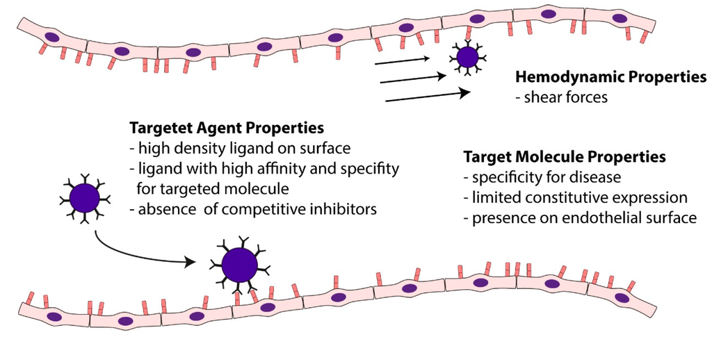 Ijms 16 09749 g005 1024