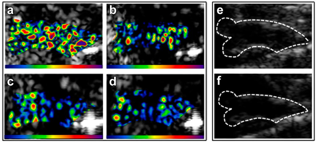 Ijms 16 09749 g006 1024