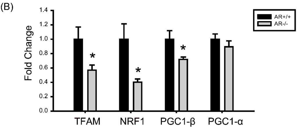 Ijms 16 09831 g006b 1024