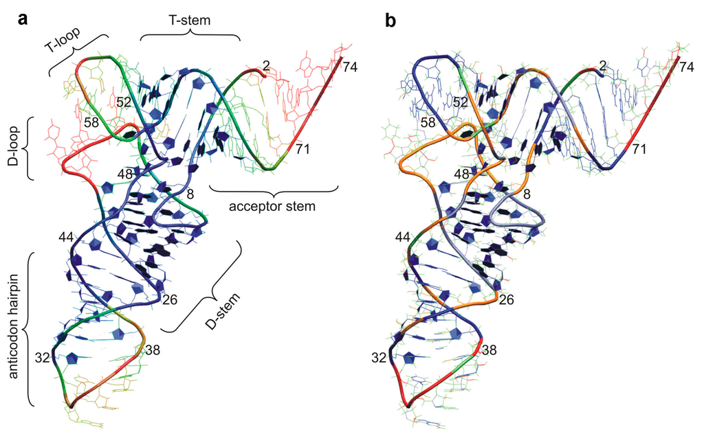 Ijms 16 09866 g001 1024
