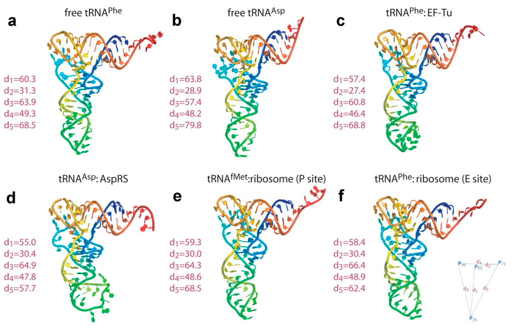 Ijms 16 09866 g002 1024