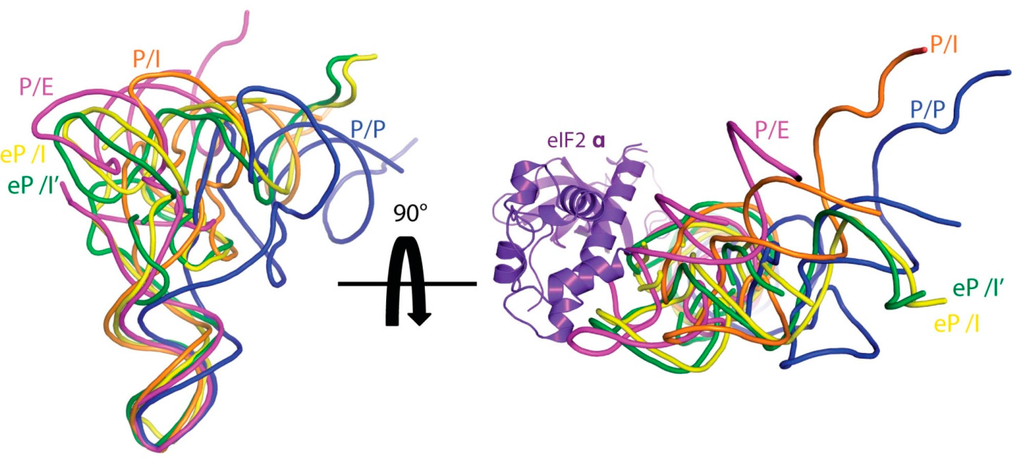 Ijms 16 09866 g003 1024