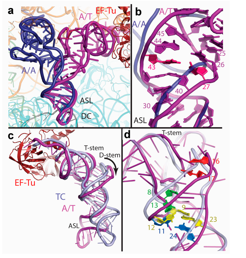 Ijms 16 09866 g004 1024