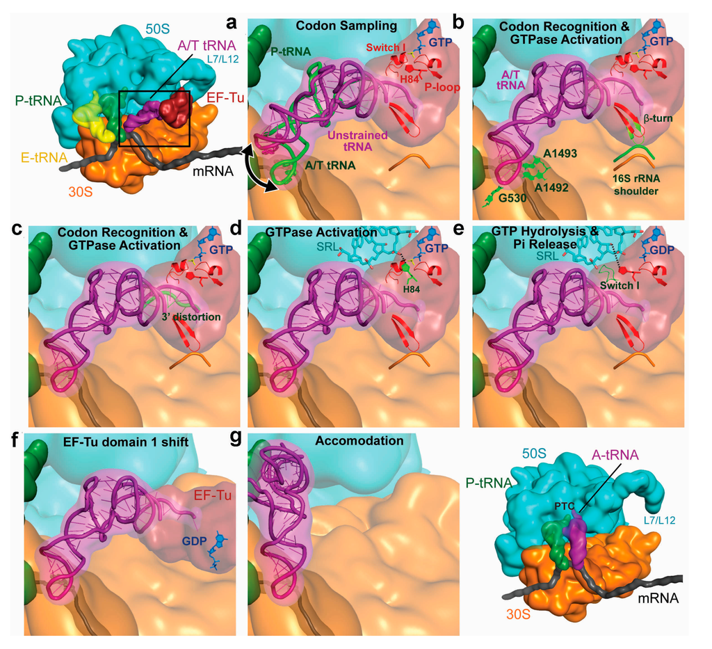Ijms 16 09866 g005 1024