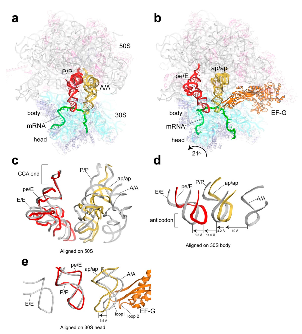 Ijms 16 09866 g008 1024