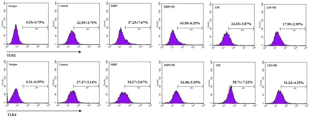 Ijms 16 09896 g004 1024