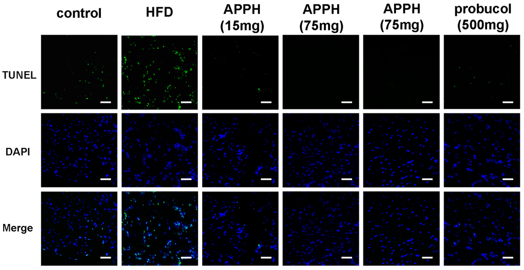 Ijms 16 10158 g004a 1024