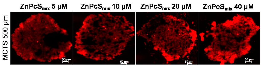 Ijms 16 10185 g001 1024