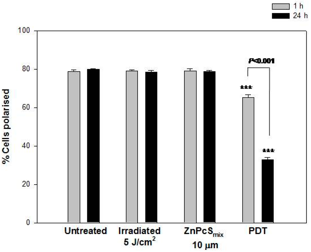 Ijms 16 10185 g004 1024