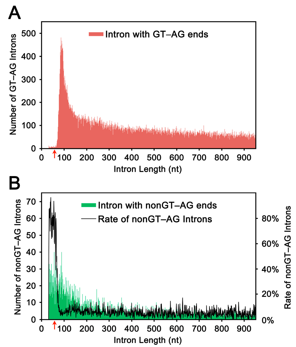 Ijms 16 10376 g001 1024