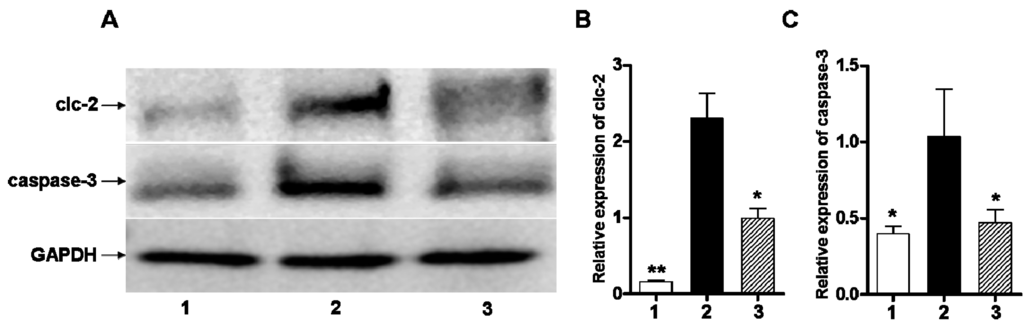 Ijms 16 10457 g003 1024