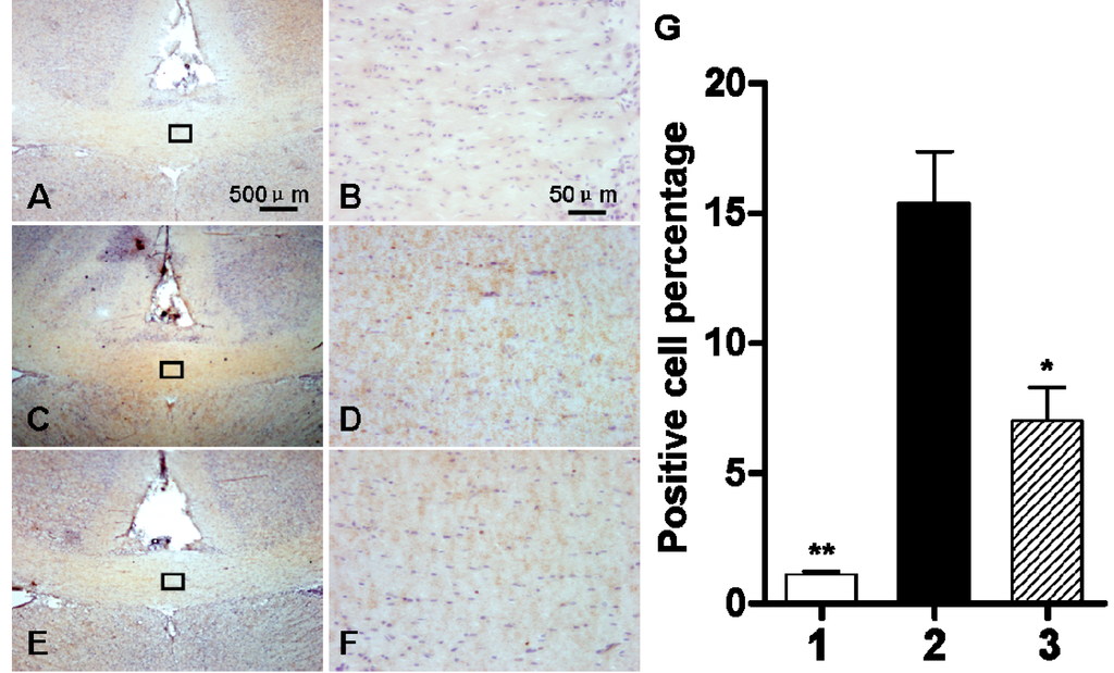 Ijms 16 10457 g008 1024