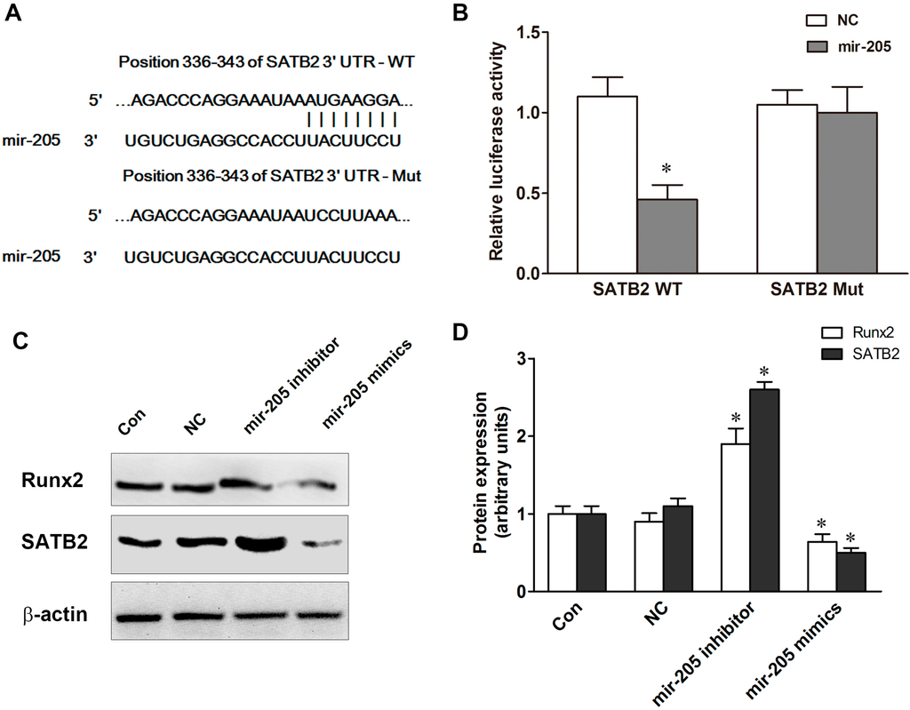 Ijms 16 10491 g003 1024