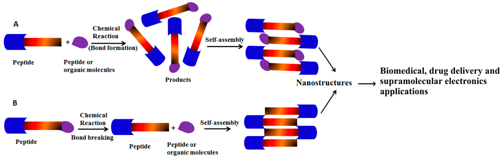 Ijms 16 10797 g001 1024