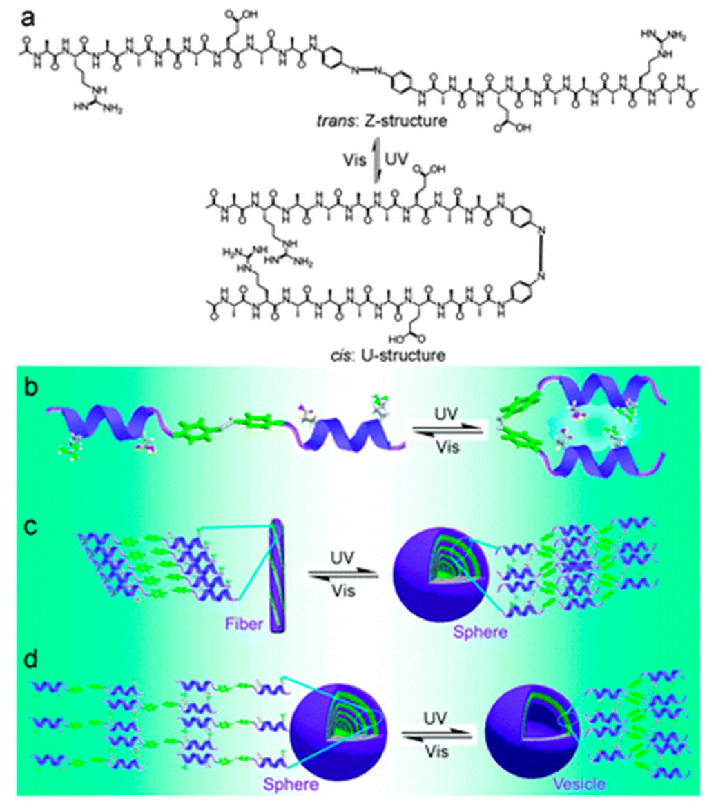 Ijms 16 10797 g004 1024