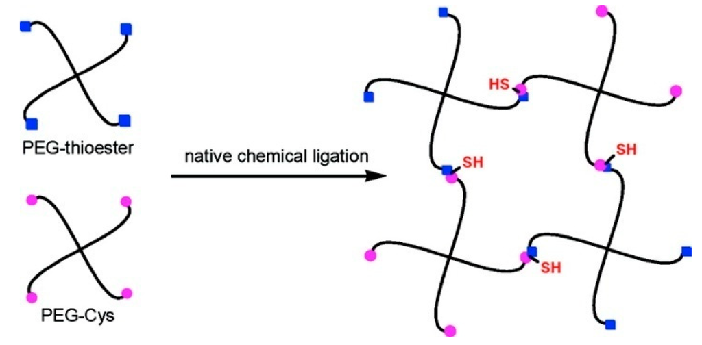 Ijms 16 10797 g011 1024