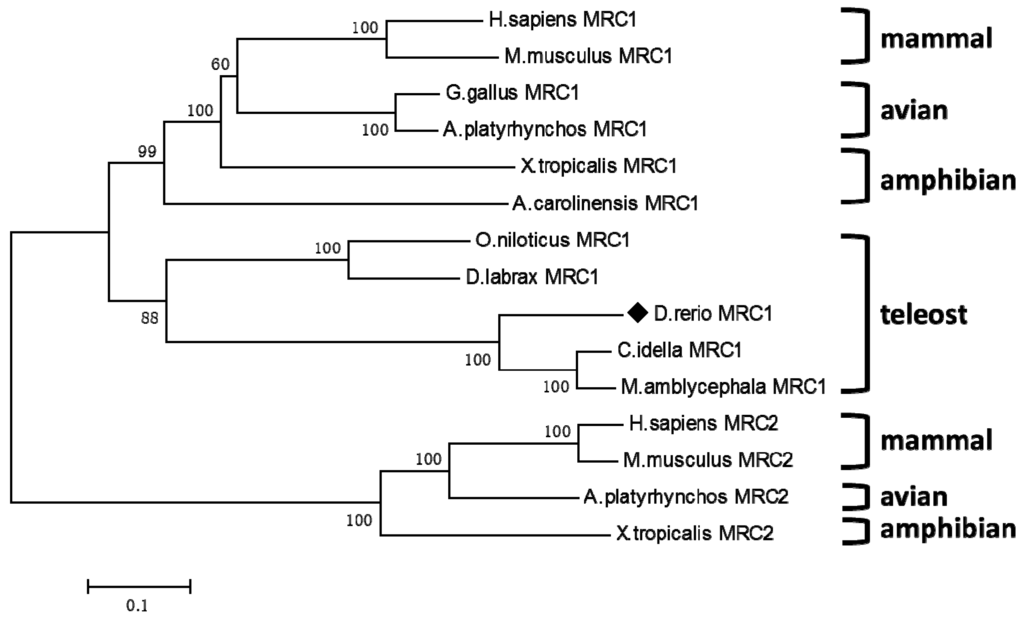 Ijms 16 10997 g002 1024