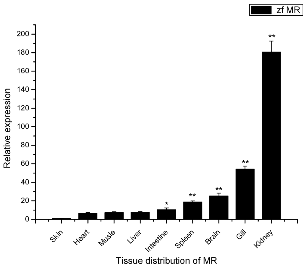 Ijms 16 10997 g003 1024