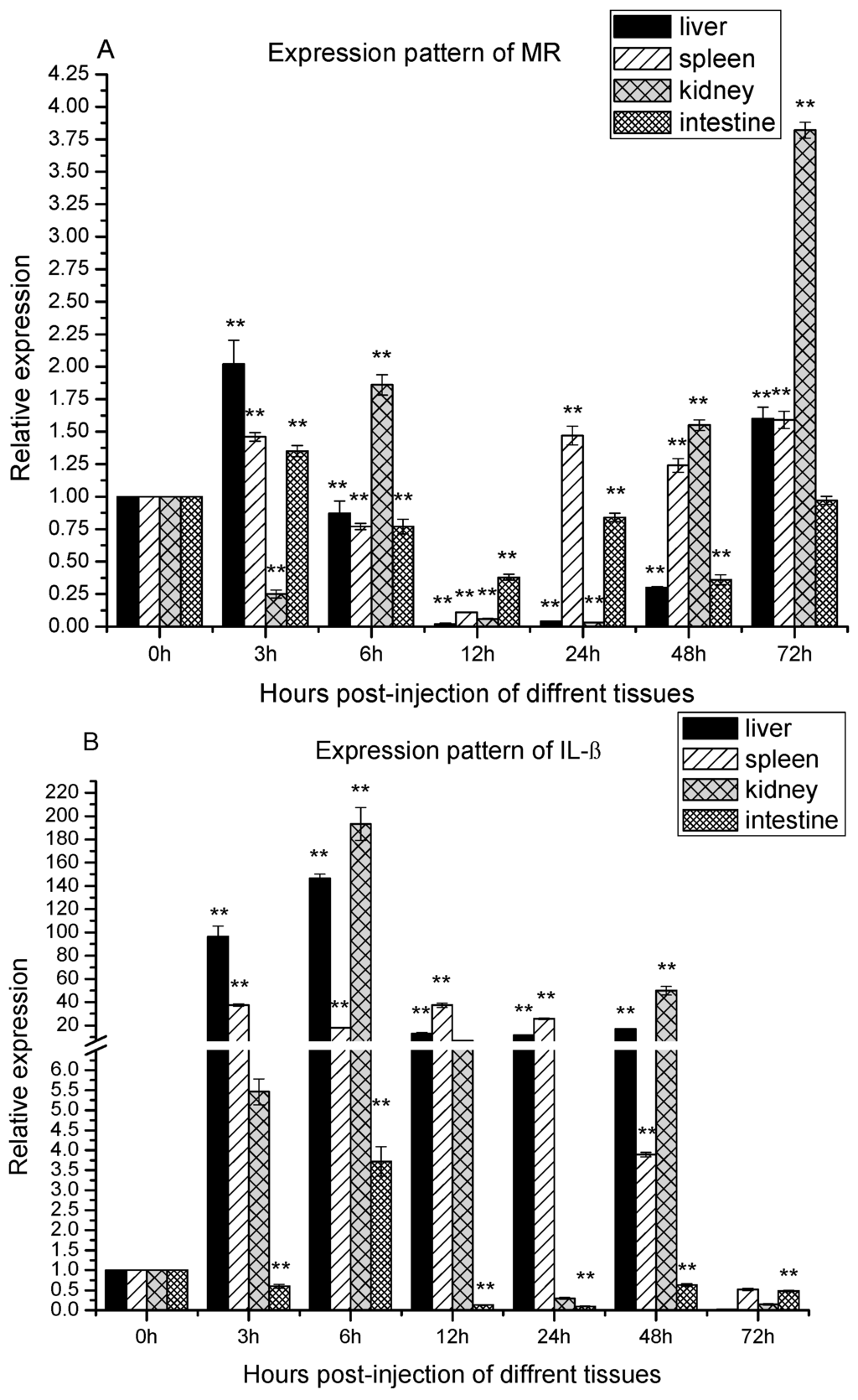 Ijms 16 10997 g004a 1024