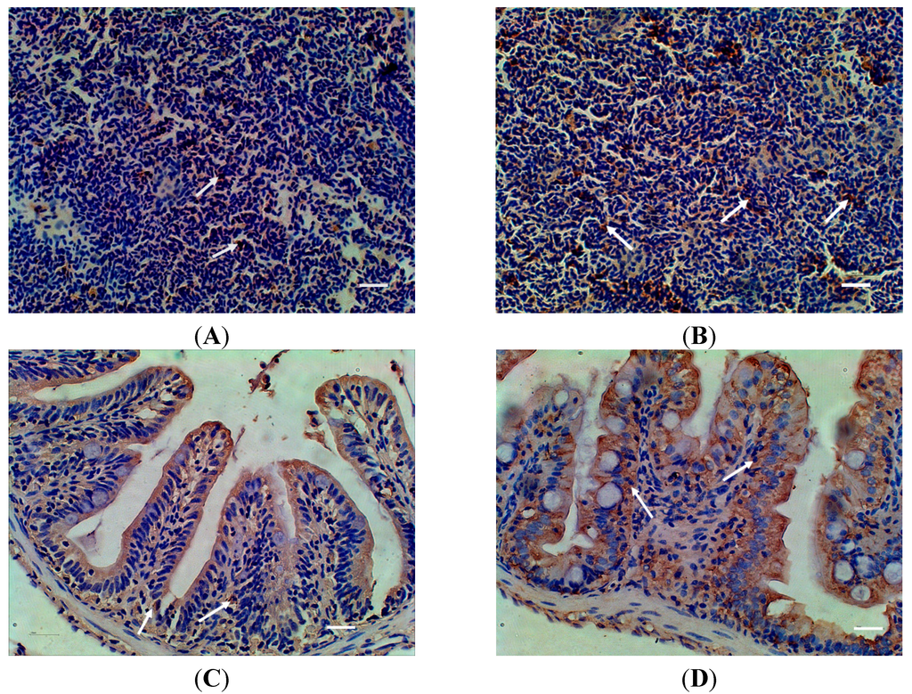Ijms 16 10997 g005 1024