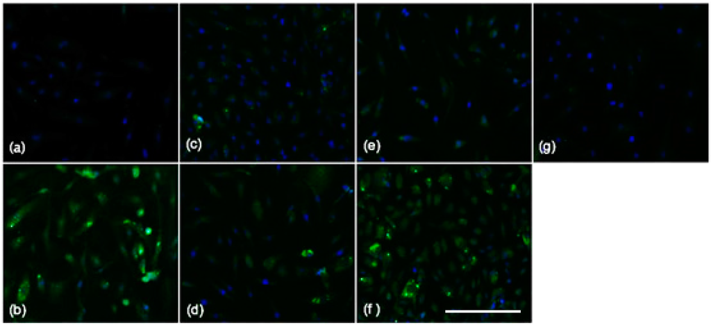 Ijms 16 11101 g003 1024