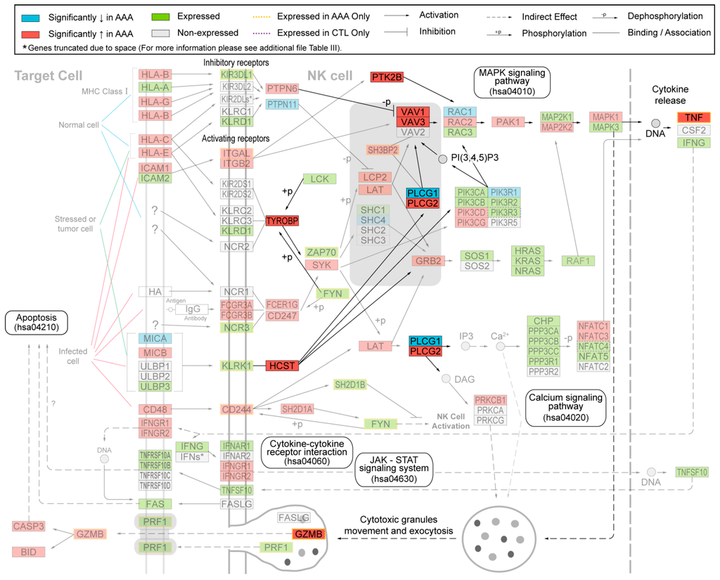 Ijms 16 11196 g001 1024