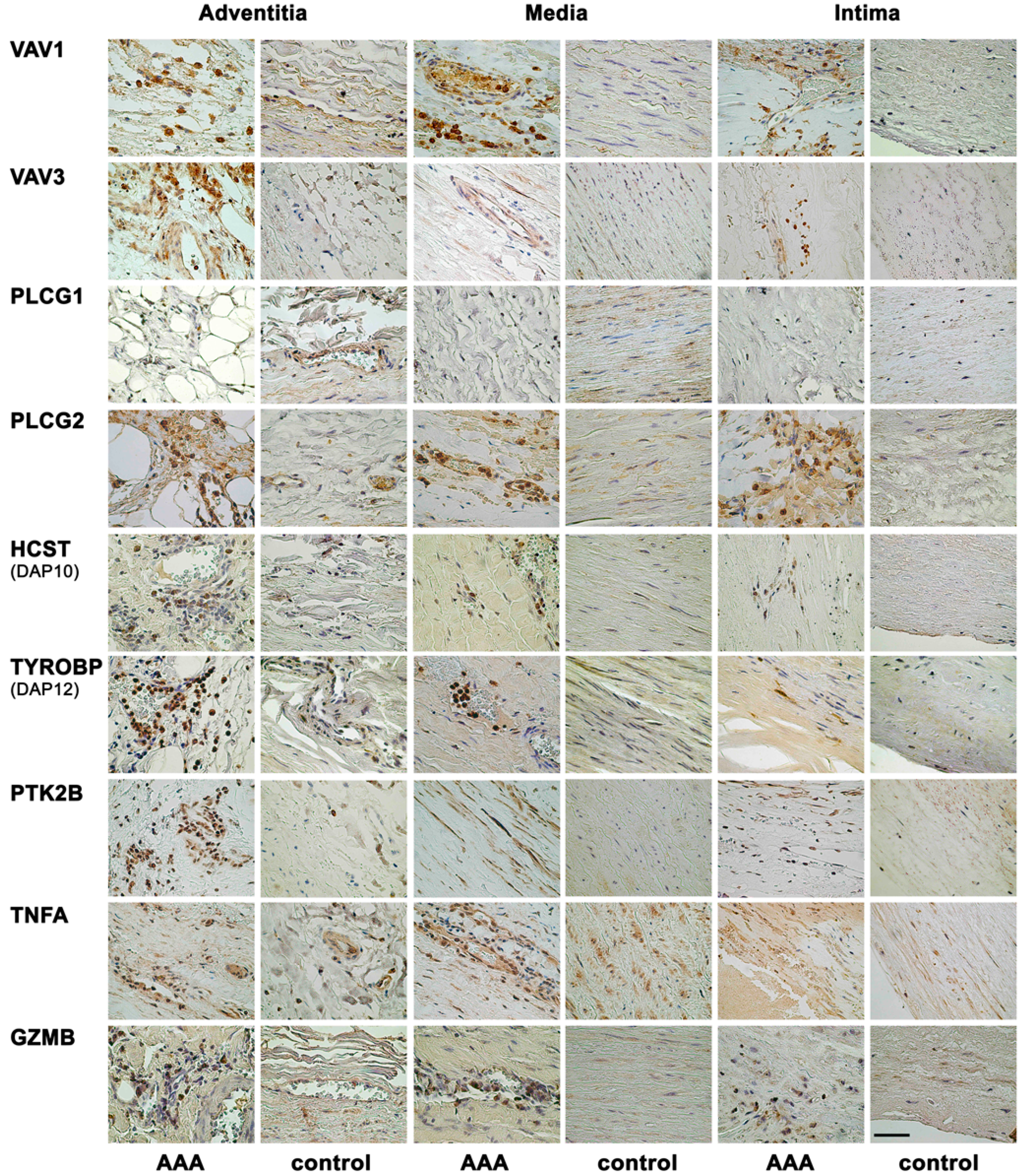 Ijms 16 11196 g002