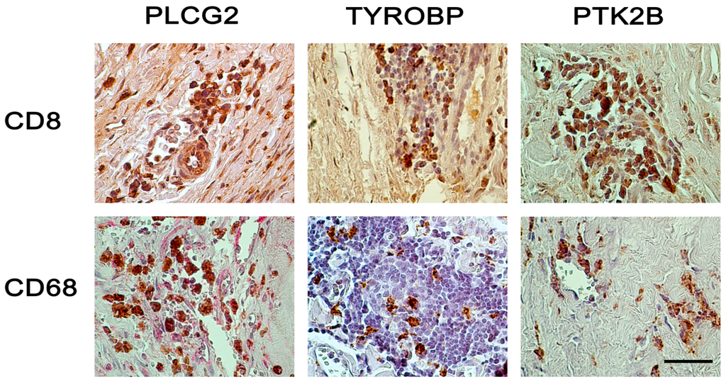 Ijms 16 11196 g004 1024