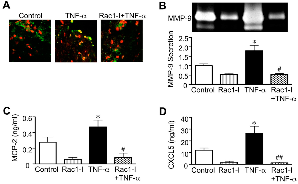 Ijms 16 11213 g005 1024