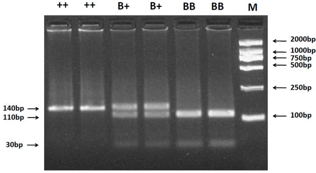 Ijms 16 11385 g001 1024