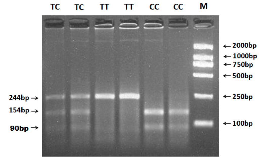 Ijms 16 11385 g003 1024