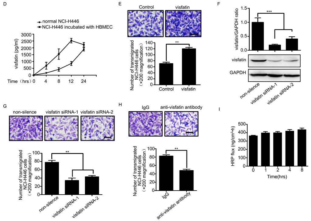 Ijms 16 11439 g001b 1024