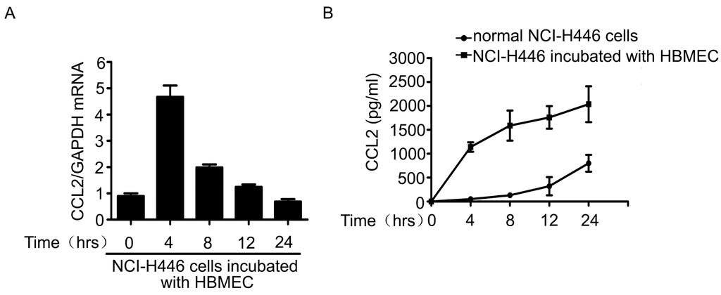 Ijms 16 11439 g003a 1024
