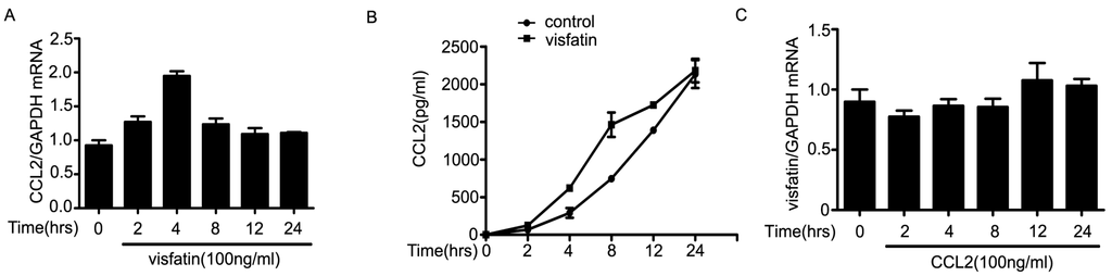 Ijms 16 11439 g004a 1024