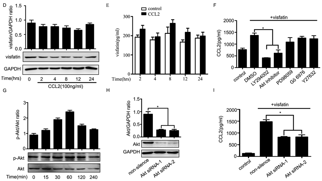 Ijms 16 11439 g004b 1024