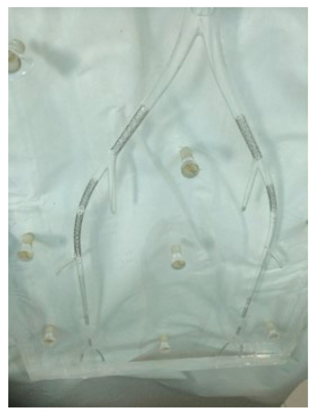 Ijms 16 11531 g006 1024