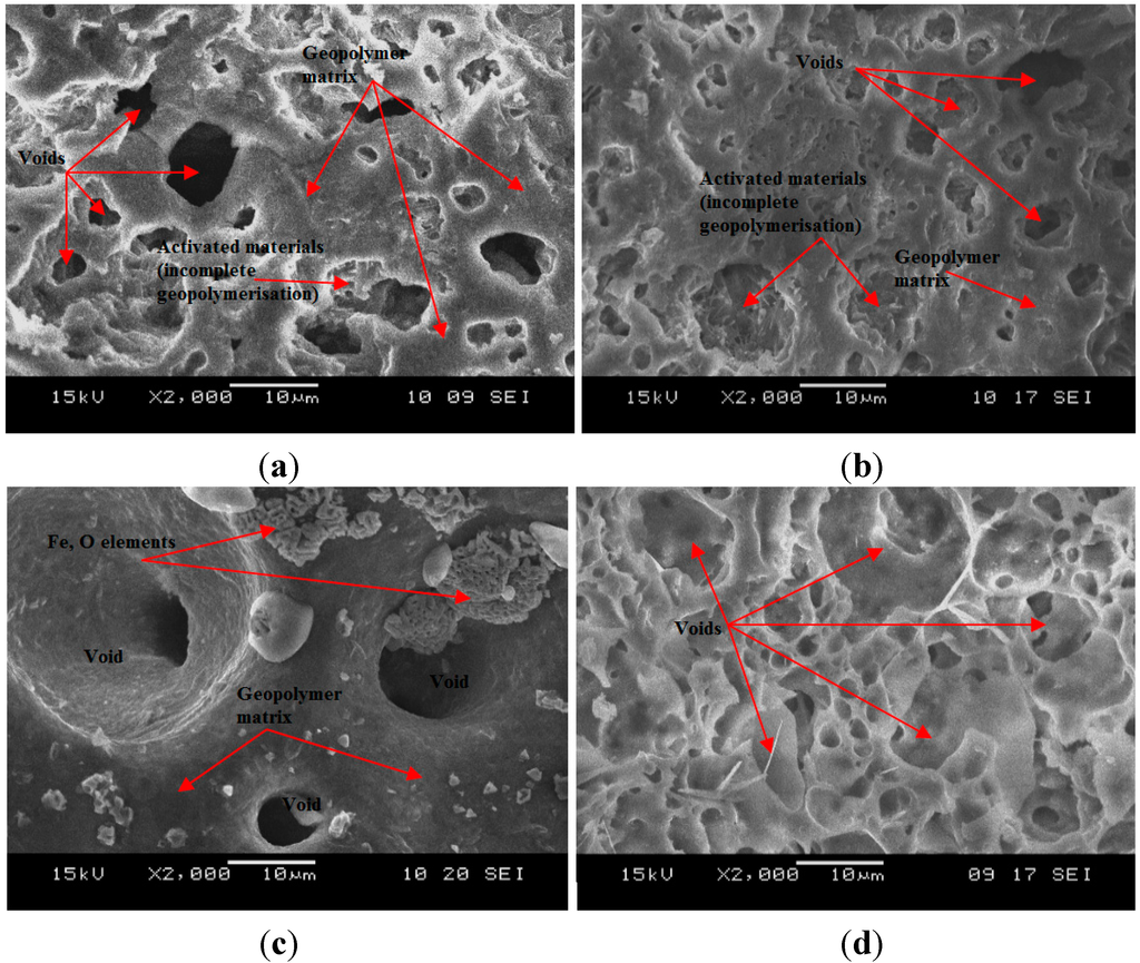 Ijms 16 11629 g007 1024