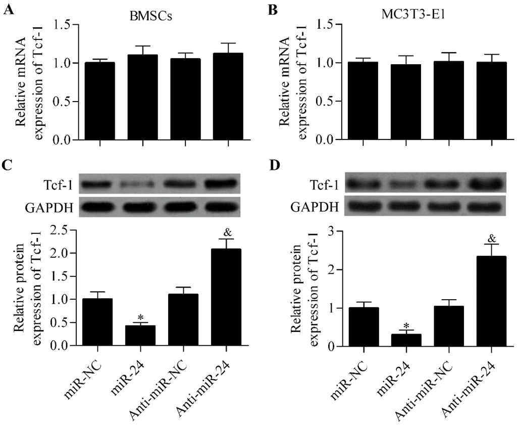 Ijms 16 11699 g005 1024