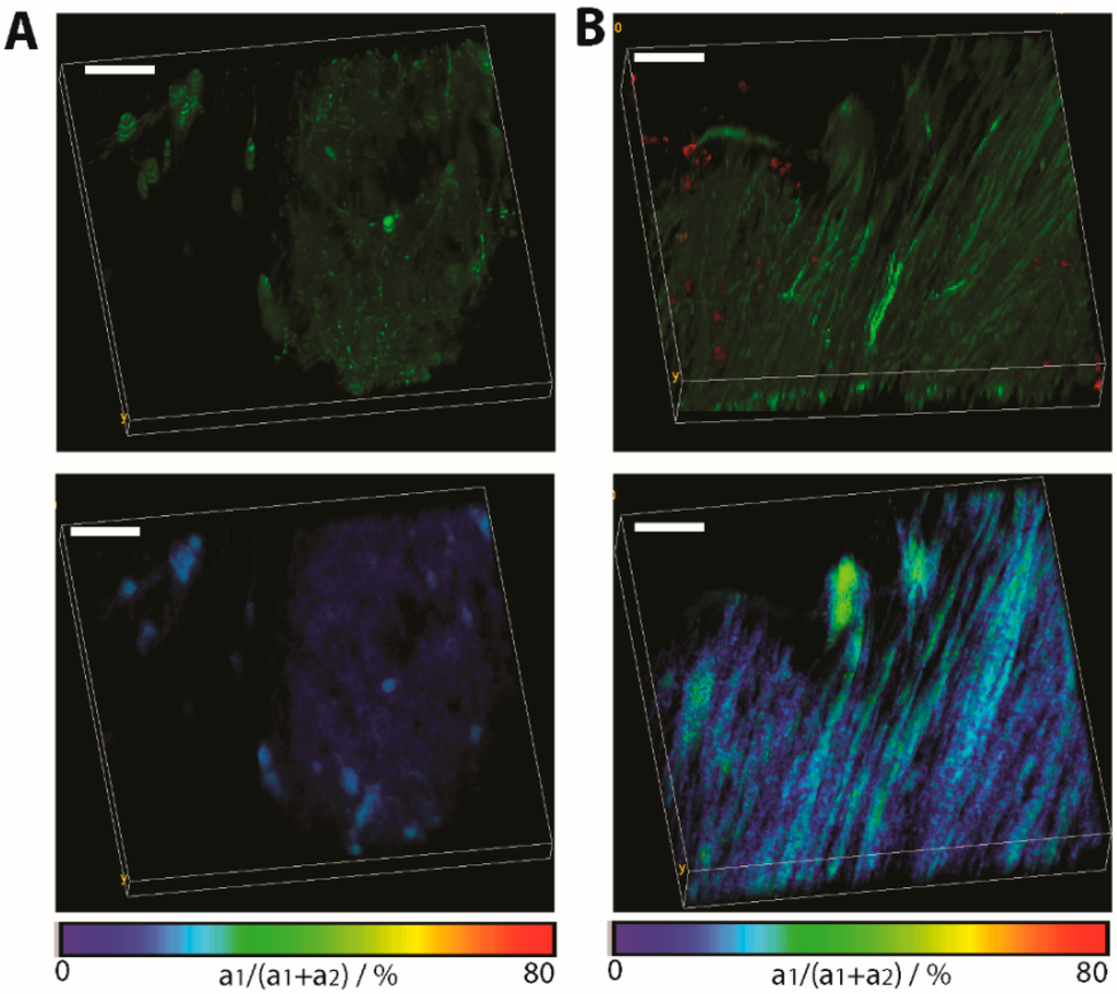 Ijms 16 11713 g005 1024