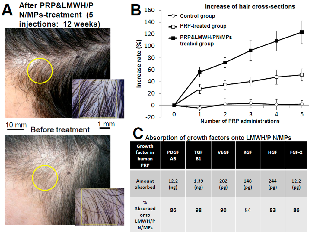 Ijms 16 11785 g004 1024