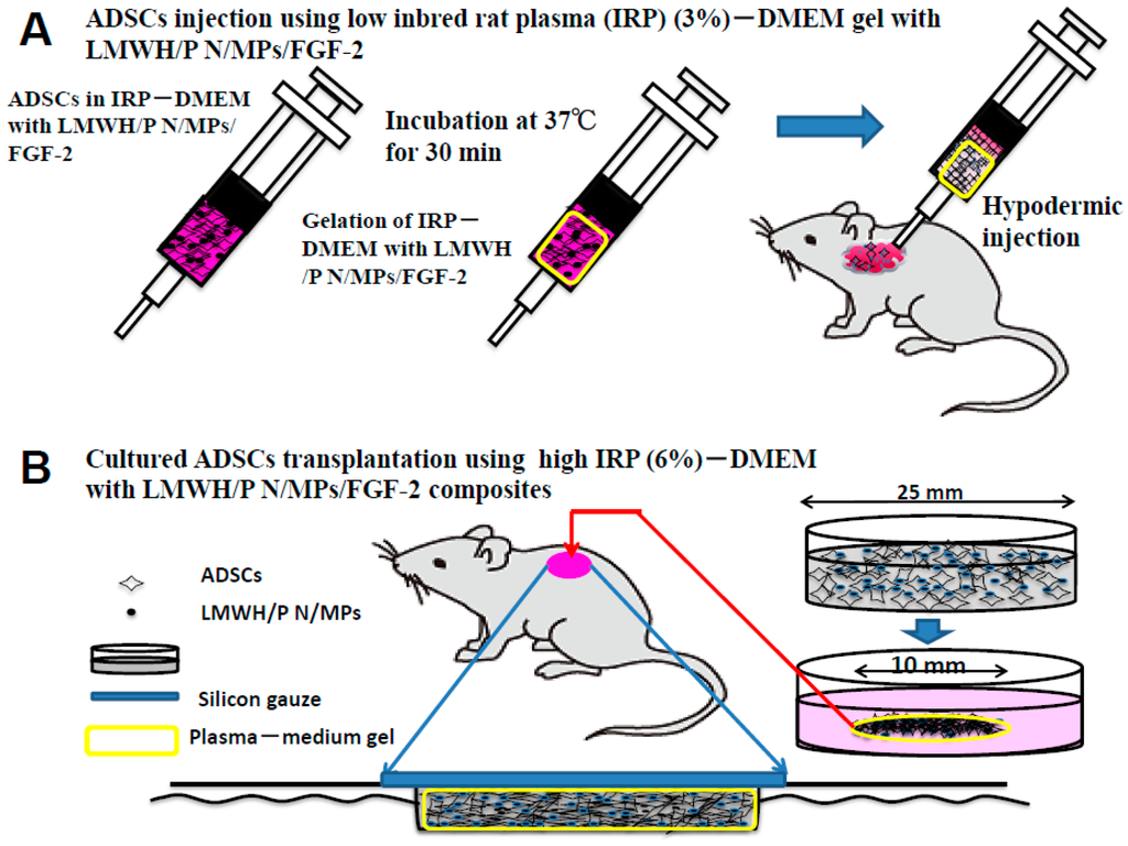 Ijms 16 11785 g008 1024